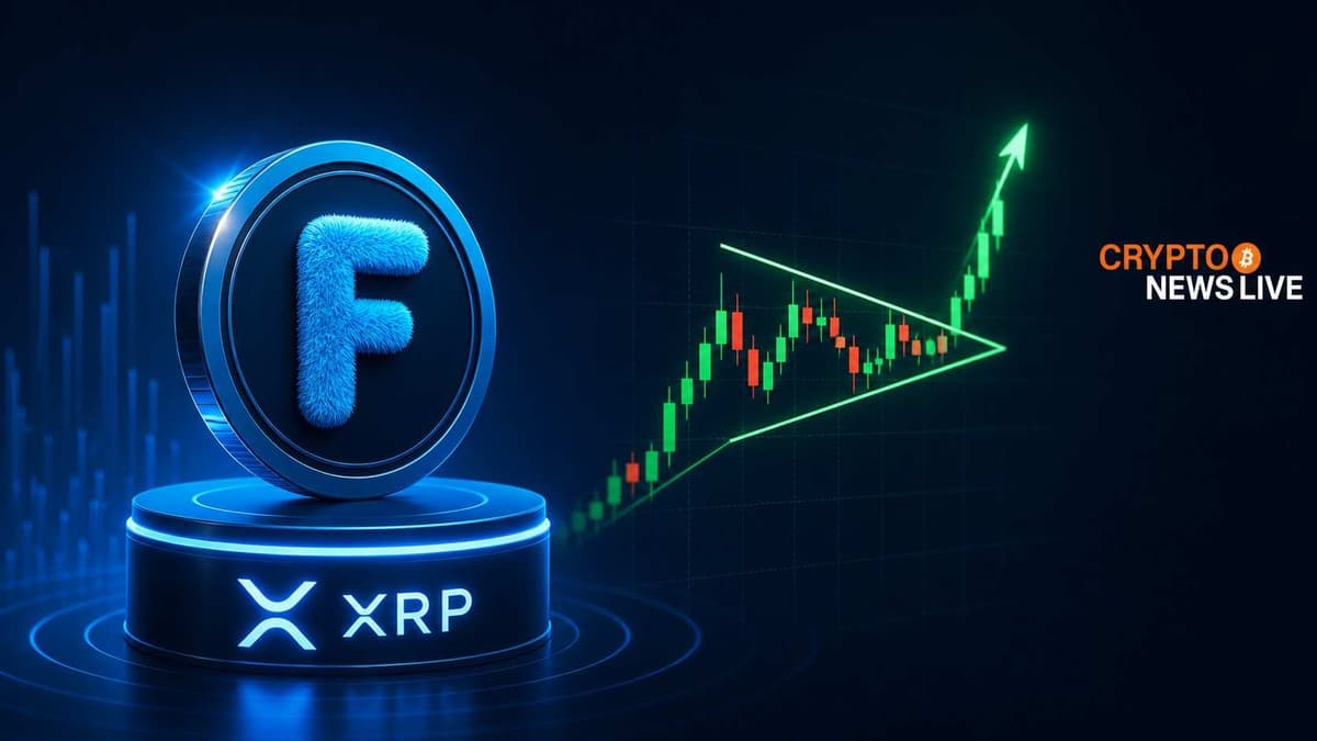 JoelKatz Opens FUZZY Trust Line on XRPL as Token Eyes Bull Flag Breakout