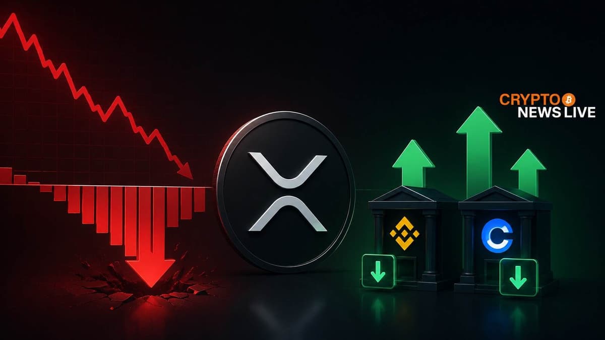 XRP Institutional Buying Cools on Binance as Exchange Flow Rotation Signals Caution