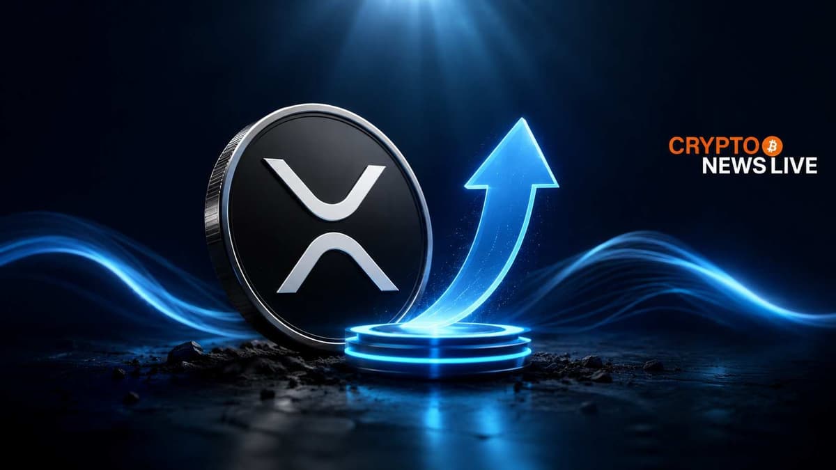 XRP Retail Sold the Bottom. On-Chain Data Shows What Happened Next.