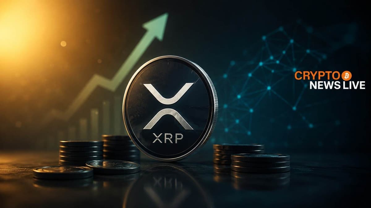 XRP Drops to $1.28: The Accumulation Map Smart Money Is Using