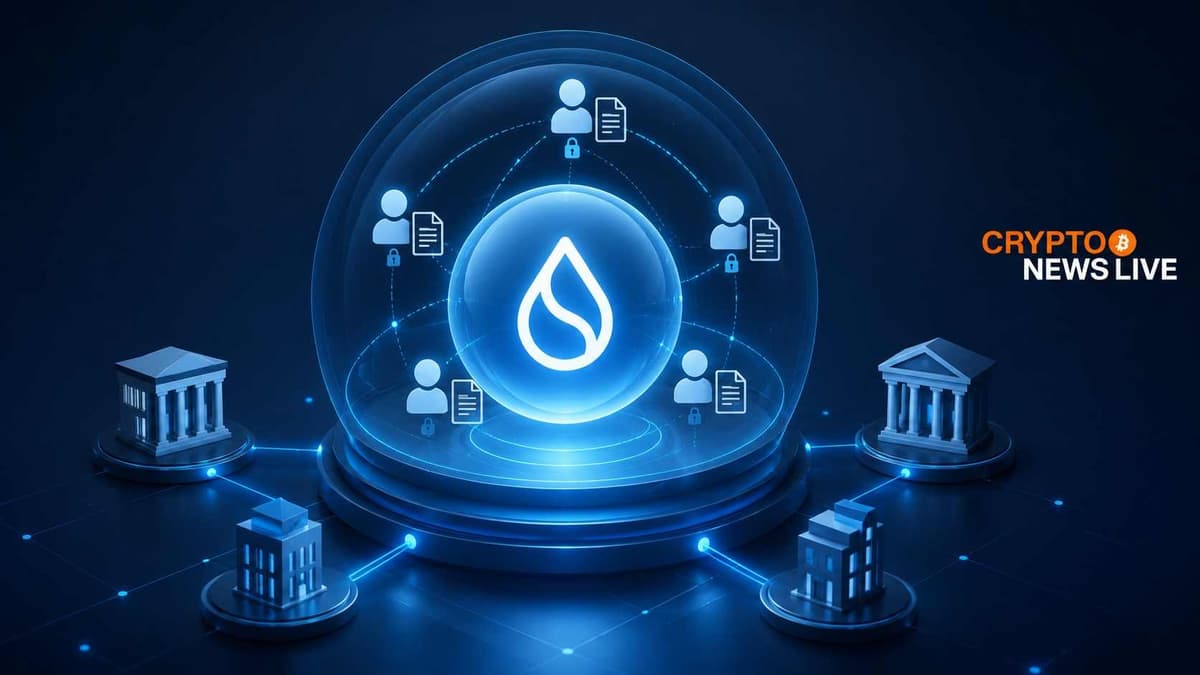 Sui Spheres Gives Institutions a Private Lane on Public Blockchain