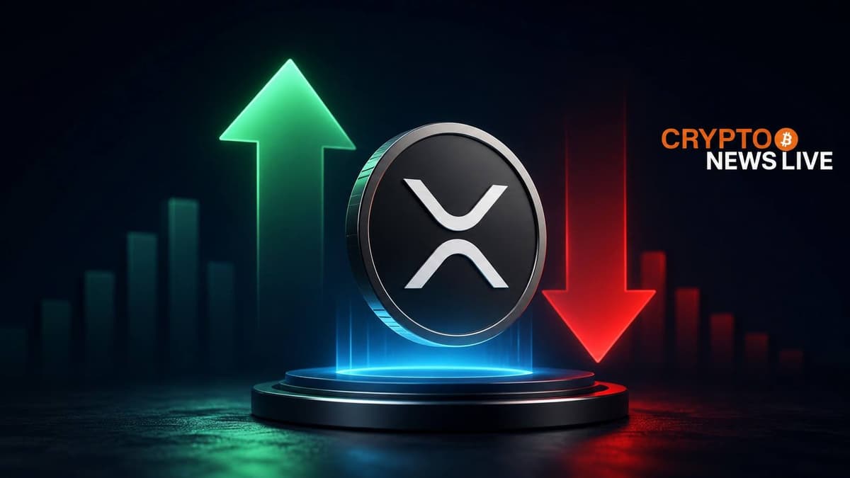 XRP's NVT Jumps 20% as Binance Spot Activity Hits Near-Zero