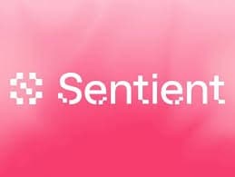 Robinhood Listed Sentient. The ‘Team Wallet’ Traders Feared in April Wasn’t Team Money.