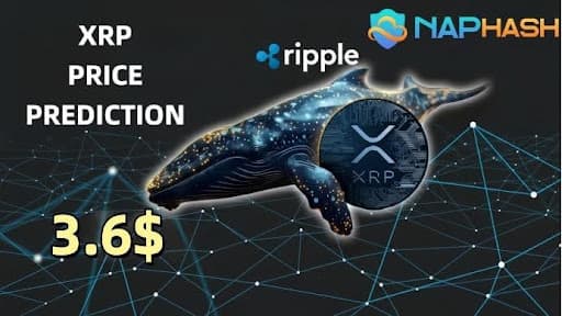 XRP Holds Near $1.41 as Whale Accumulation Builds, $3.60 Breakout in Focus Amid Cloud Mining Shift