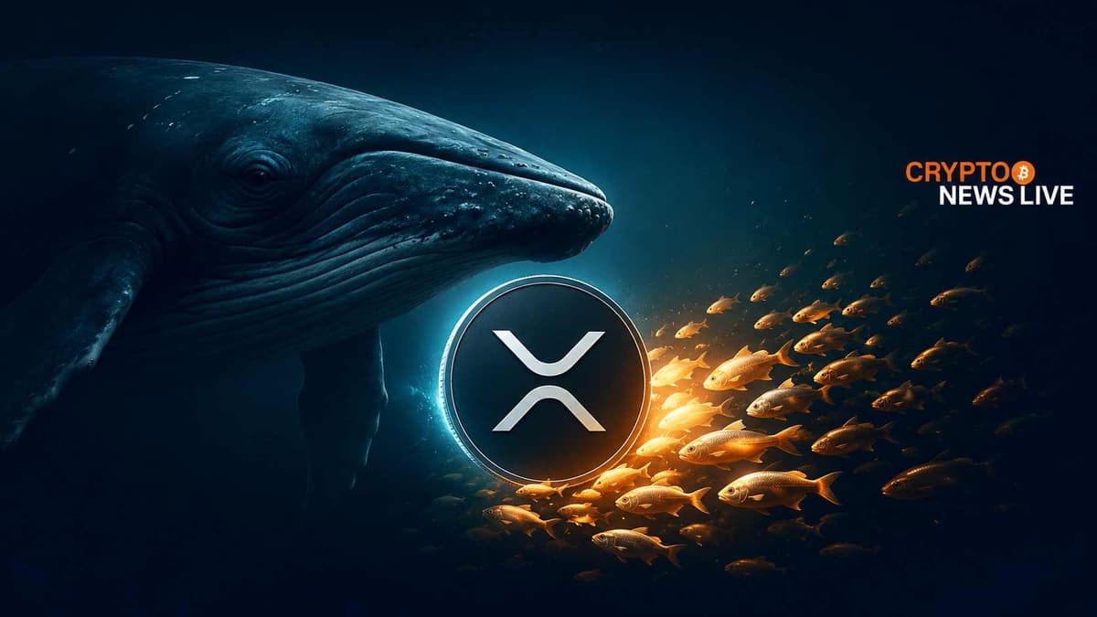 XRP Whale Dominance Slips to 88.3% as Price Tests Make-or-Break Support