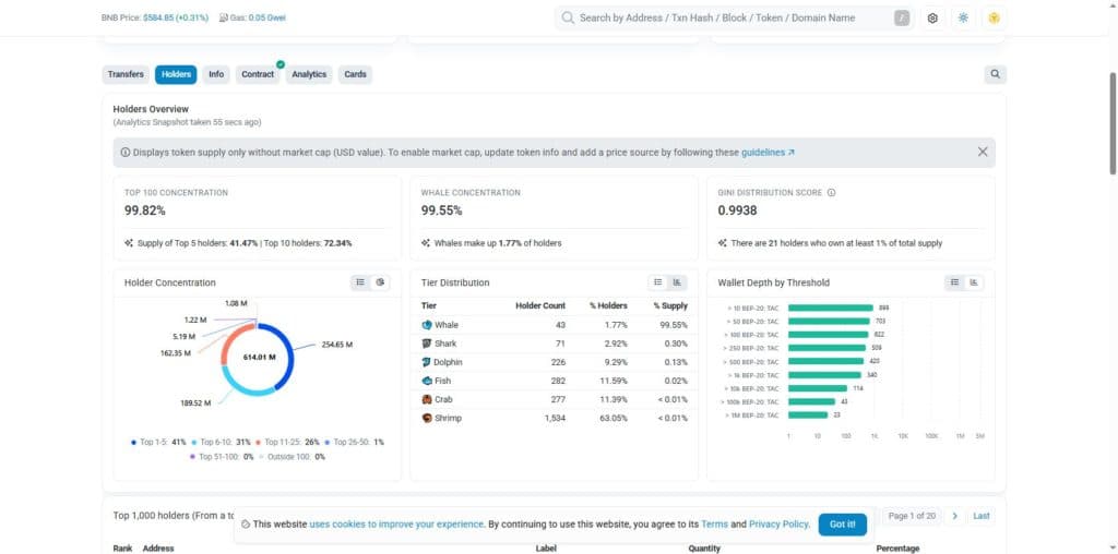 BscScan holder overview for TAC showing top 100 concentration of 99.82 percent whale concentration of 99.55 percent and a Gini distribution score of 0.9938