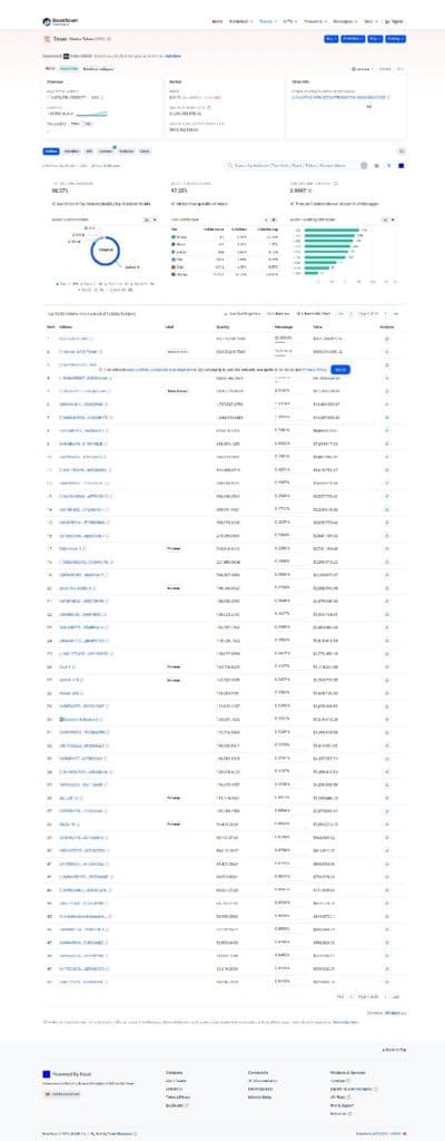 BaseScan VVV holder ranking