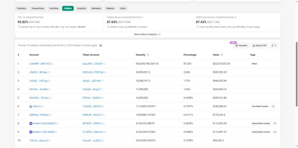 Solscan MNGO top 10 holders list