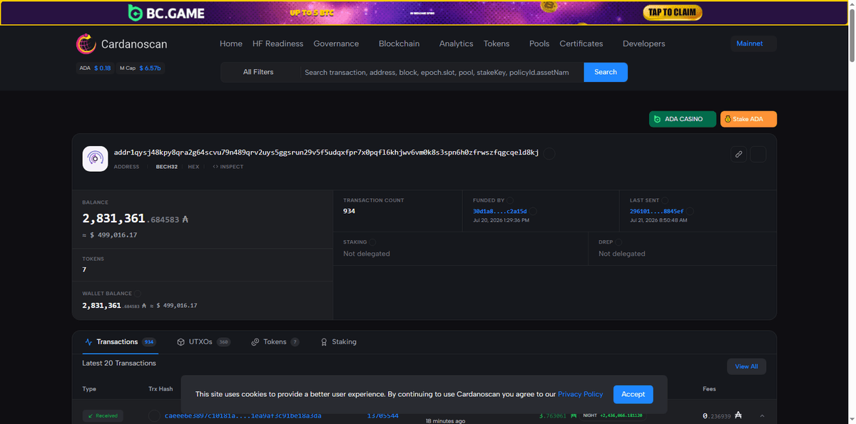 Cardanoscan showing wallet W1 balance and ongoing NIGHT transfers into Minswap