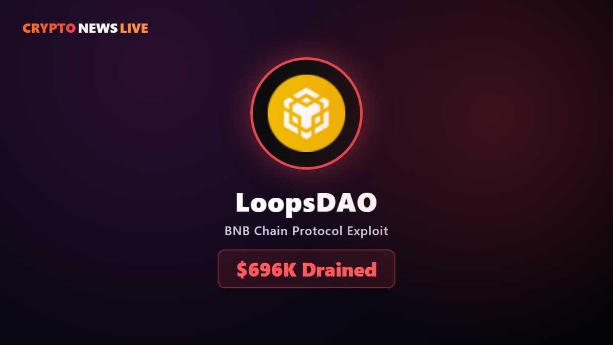 LoopsDAO's Pool Held $28 Million. A Flash Loan Left It With $33.
