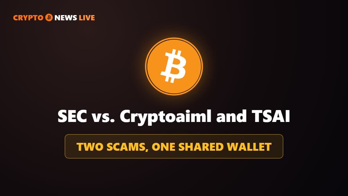 Crypto Investment Scam: Two SEC Cases List The Same Wallet