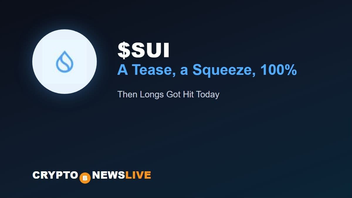 Sui Doubled in Ten Days on a Tweet, Then Longs Got Hit